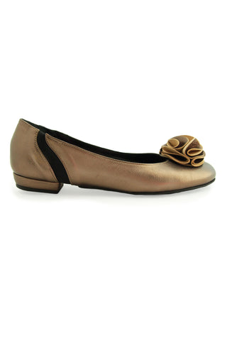 The Charlotte The Charlotte